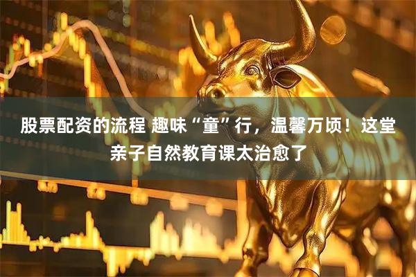 股票配资的流程 趣味“童”行，温馨万顷！这堂亲子自然教育课太治愈了